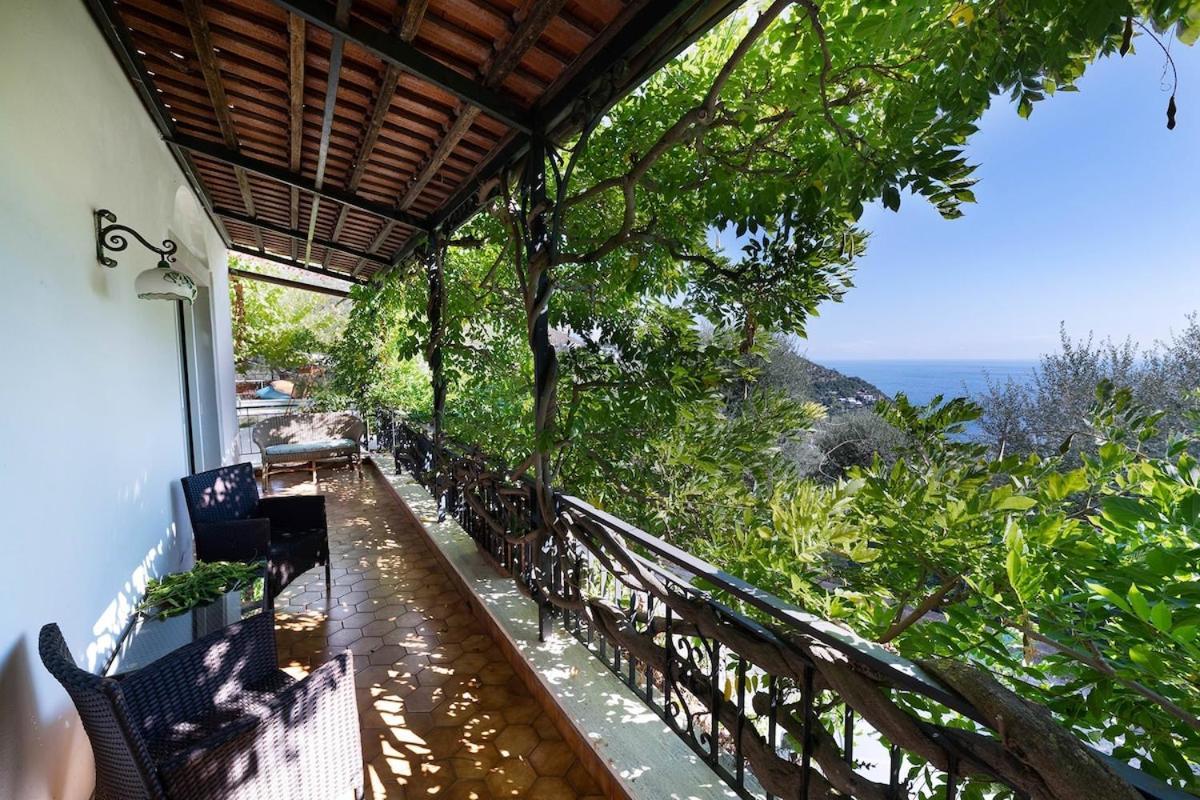 Villa Marinella Close To The Sea With Private Pool Nerano Eksteriør billede