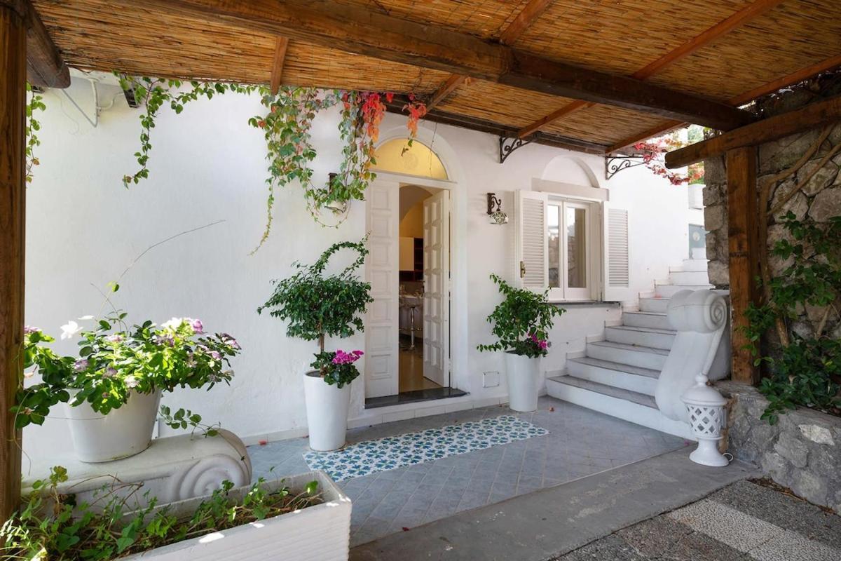 Villa Marinella Close To The Sea With Private Pool Nerano Eksteriør billede